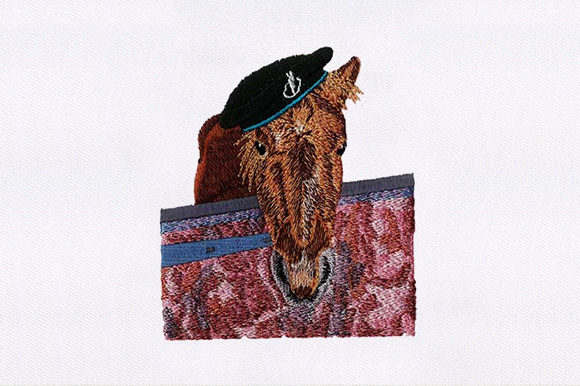 Brown Horse Face: A Designer’s Review for Handmade Gifts