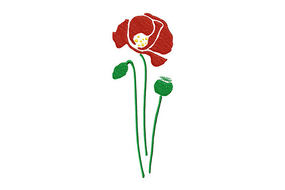 Reviewing Poppy Flower and Poppy Heads for Holiday Sales