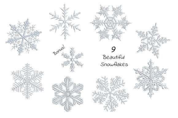 Reviewing Set of Beautiful Snowflakes for Holiday Gifts
